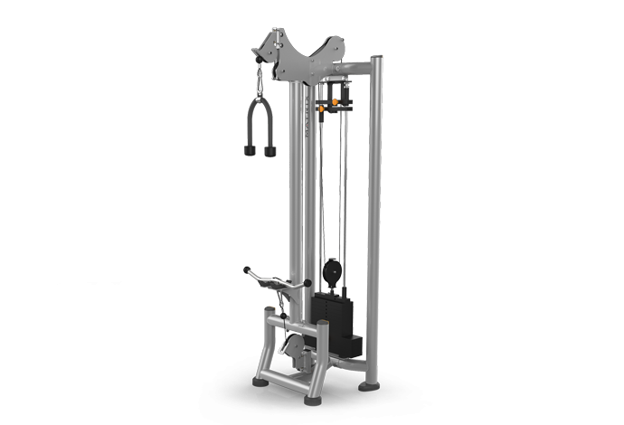 MAGNUM SERIES Biceps / Triceps MG-947 Station