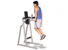 VKR Vertical Knee Raise/Dip Inflight