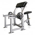 Preacher Curl Bench
