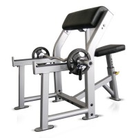 Preacher Curl Bench